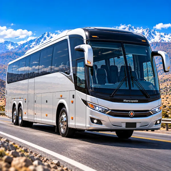 BUSES