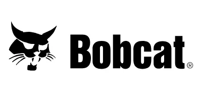 Bobcat